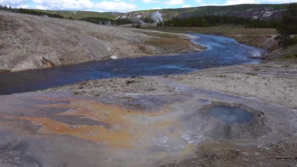 Warme Thermale Bron Warm Zwembad Het Yellowstone National Park Algen — Stockvideo