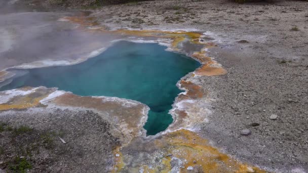 Forró Kristálytiszta Vizet Forralok Gejzírben Yellowstone Nemzeti Park Wyoming Egyesült — Stock videók