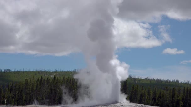 Geysir Old Faithful Bricht Yellowstone Nationalpark Bundesstaat Wyoming Aus — Stockvideo