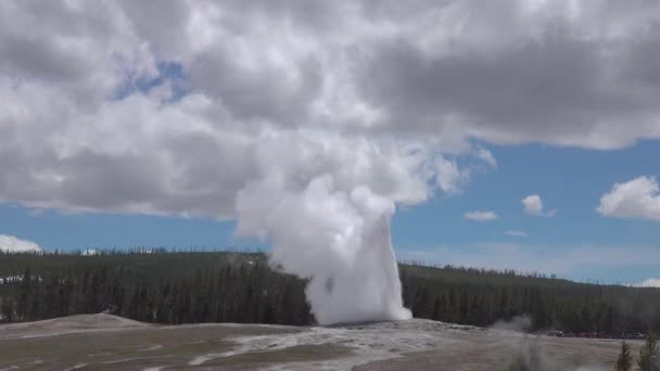 Geysir Old Faithful Bricht Yellowstone Nationalpark Bundesstaat Wyoming Aus — Stockvideo