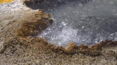 Kaynar su kaynayan gayzer. Büyük patlamalarla aktif gayzer. Yellowstone Ulusal Parkı, Wyoming, ABD