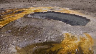 Yosun-bakteriyel paspaslar. Sıcak termal yay, Yellowstone Ulusal Parkı 'nda sıcak havuz. Wyoming, ABD
