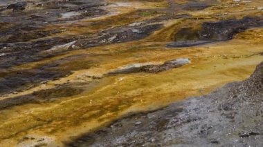 Yosun-bakteriyel paspaslar. Sıcak termal yay, Yellowstone Ulusal Parkı 'nda sıcak havuz. Wyoming, ABD