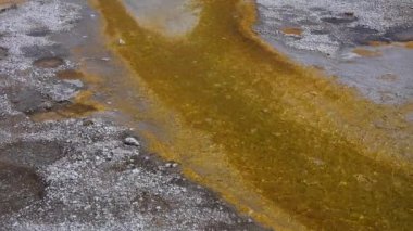 Yosun-bakteriyel paspaslar. Sıcak termal yay, Yellowstone Ulusal Parkı 'nda sıcak havuz. Wyoming, ABD