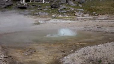Kaynar su kaynayan gayzer. Büyük patlamalarla aktif gayzer. Yellowstone Ulusal Parkı, Wyoming, ABD