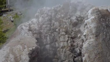 Kaynar su kaynayan gayzer. Büyük patlamalarla aktif gayzer. Yellowstone Ulusal Parkı, Wyoming, ABD