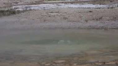 Kaynar su kaynayan gayzer. Büyük patlamalarla aktif gayzer. Yellowstone Ulusal Parkı, Wyoming, ABD