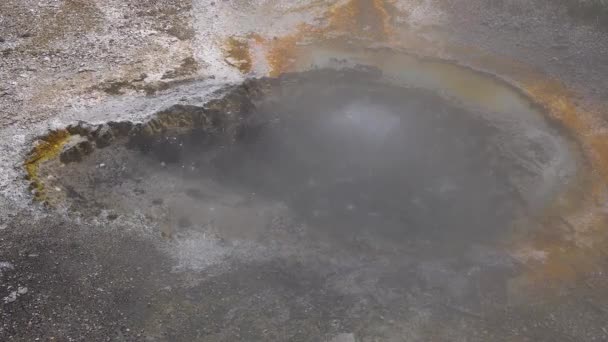 Kokend Water Bubbler Geyser Actieve Geiser Met Grote Uitbarstingen Yellowstone — Stockvideo