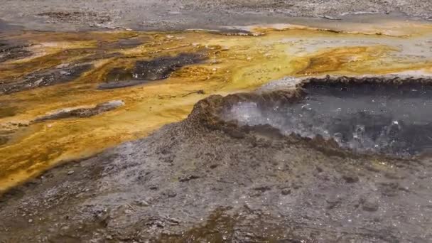 Kokend Water Bubbler Geyser Actieve Geiser Met Grote Uitbarstingen Yellowstone — Stockvideo