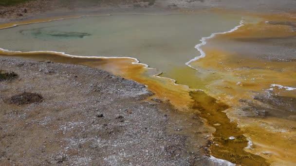 Kokend Heet Kristalhelder Water Een Geiser Nationaal Park Yellowstone Wyoming — Stockvideo