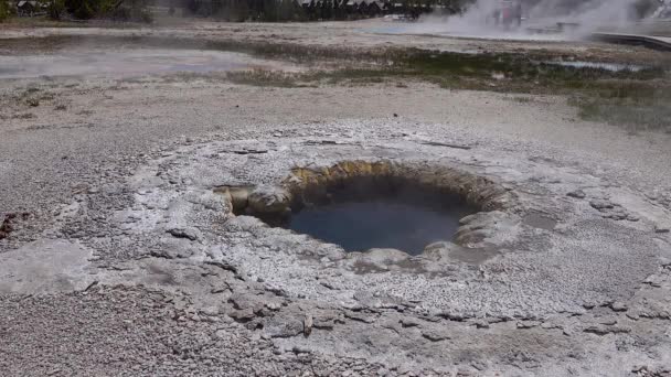 Heißes Kristallklares Wasser Einem Geysir Yellowstone Nationalpark Wyoming Usa — Stockvideo