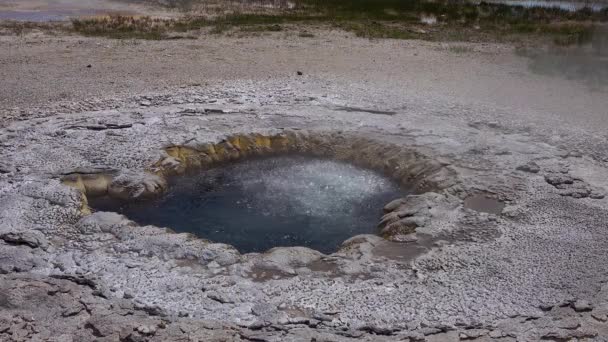 Kokend Water Bubbler Geyser Actieve Geiser Met Grote Uitbarstingen Yellowstone — Stockvideo