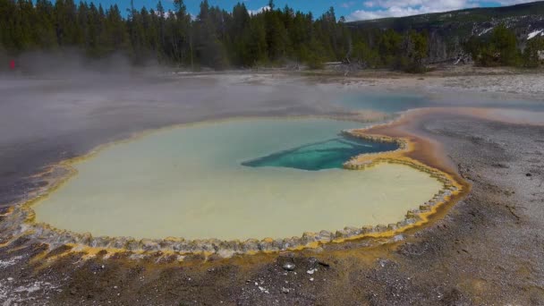 Acqua Bollente Cristallina Geyser Parco Nazionale Yellowstone Wyoming Stati Uniti — Video Stock