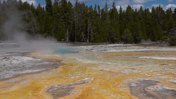 Acqua Bollente Cristallina Geyser Parco Nazionale Yellowstone Wyoming Stati Uniti — Video Stock