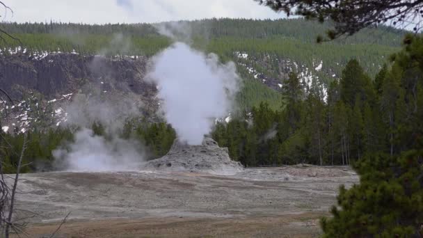 Geiser Barst Uit Yellowstone National Park Wyoming Verenigde Staten — Stockvideo