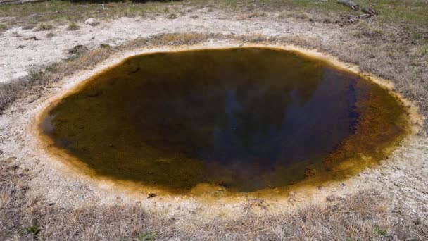 Heißes Kristallklares Wasser Einem Geysir Yellowstone Nationalpark Wyoming Usa — Stockvideo