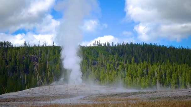 Geyser Old Faithful Erutta Nel Parco Nazionale Yellowstone Nel Wyoming — Video Stock