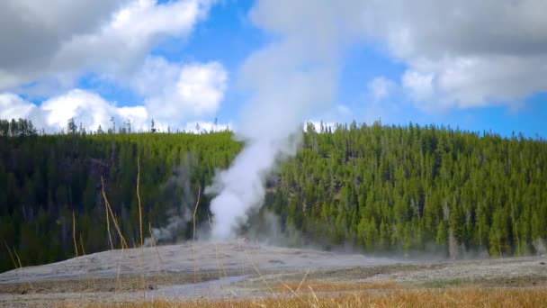 Geyser Old Faithful Erupts Yellowstone National Park Wyoming Usa — Stock Video