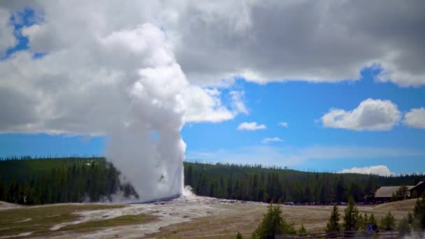 Geysir Old Faithful Bricht Yellowstone Nationalpark Bundesstaat Wyoming Aus — Stockvideo