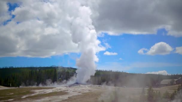 Geysir Old Faithful Bricht Yellowstone Nationalpark Bundesstaat Wyoming Aus — Stockvideo