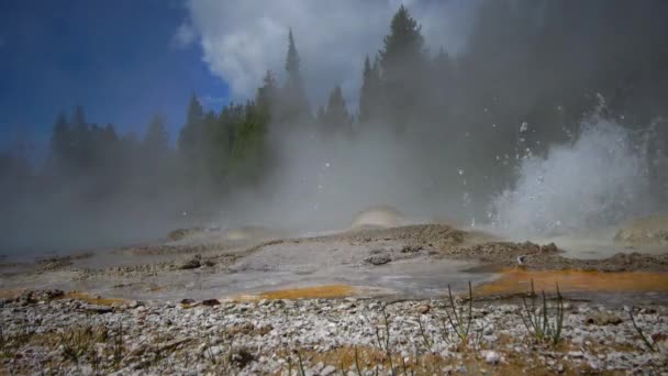 沸騰した水の泡ガイザー 主要な噴火と活動的な間欠泉 イエローストーン国立公園 ワイオミング州 アメリカ — ストック動画