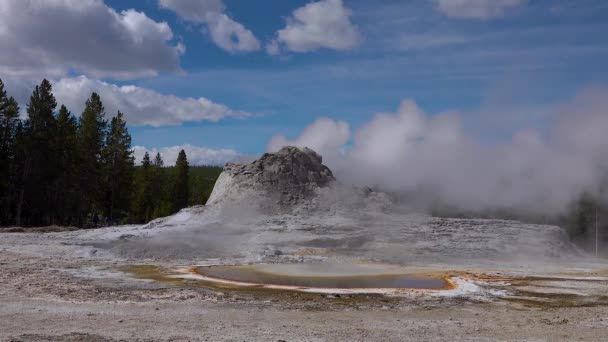 Termas Termales Piscina Caliente Parque Nacional Yellowstone Esteras Bacterianas Algas — Vídeo de stock