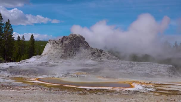 Warme Thermale Bron Warm Zwembad Het Yellowstone National Park Algen — Stockvideo