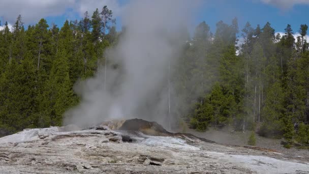 Terme Termali Piscina Termale Nel Parco Nazionale Yellowstone Stuoie Alghe — Video Stock