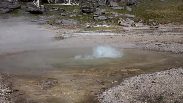 Géiser Burbujas Agua Hirviendo Géiser Activo Con Grandes Erupciones Parque — Vídeo de stock