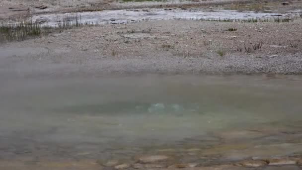 Bollitore Acqua Bollente Geyser Geyser Attivo Con Grandi Eruzioni Parco — Video Stock