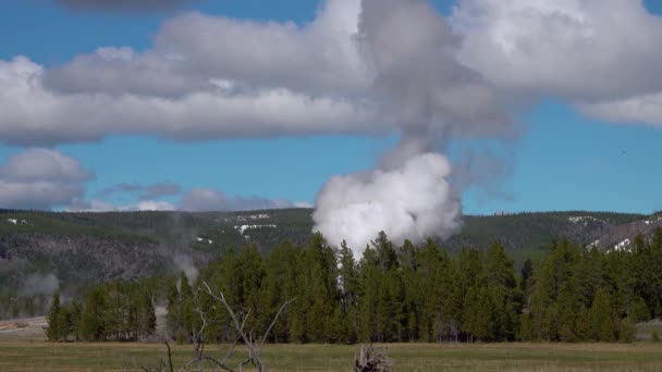 Wyoming Abd Deki Yellowstone Ulusal Parkı Nda Gayzer Patladı — Stok video