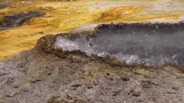 Kaynar su kaynayan gayzer. Büyük patlamalarla aktif gayzer. Yellowstone Ulusal Parkı, Wyoming, ABD
