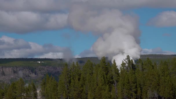 Geyser Erutta Nel Parco Nazionale Yellowstone Nel Wyoming Usa — Video Stock