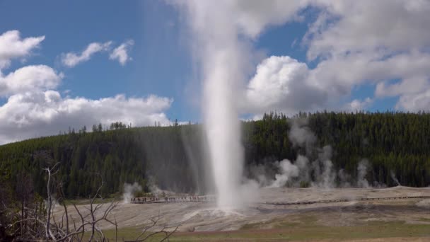 Geyser Old Faithful Éclate Dans Parc National Yellowstone Dans Wyoming — Video