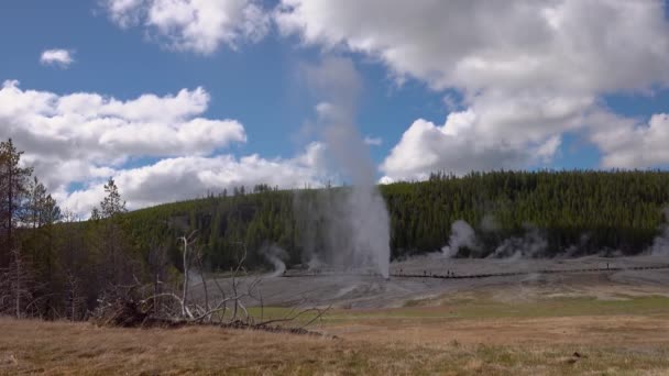 Geyser Old Faithful Entra Erupción Parque Nacional Yellowstone Wyoming Estados — Vídeo de stock