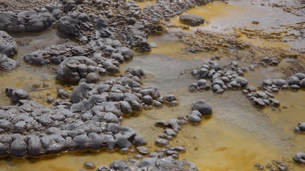 Yosun Bakteriyel Paspaslar Sıcak Termal Yay Yellowstone Ulusal Parkı Nda — Stok video