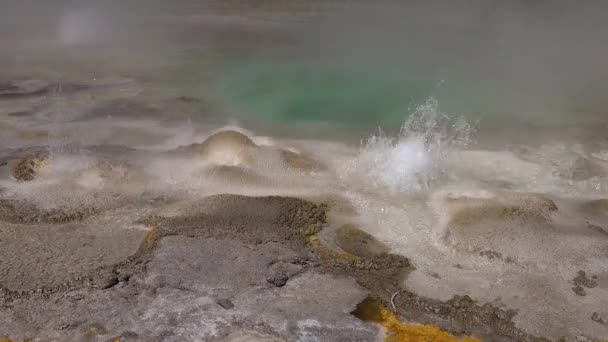 Kokend Water Bubbler Geyser Actieve Geiser Met Grote Uitbarstingen Yellowstone — Stockvideo