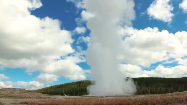 Geyser Old Faithful Erupts Yellowstone National Park Wyoming Usa — Stock video