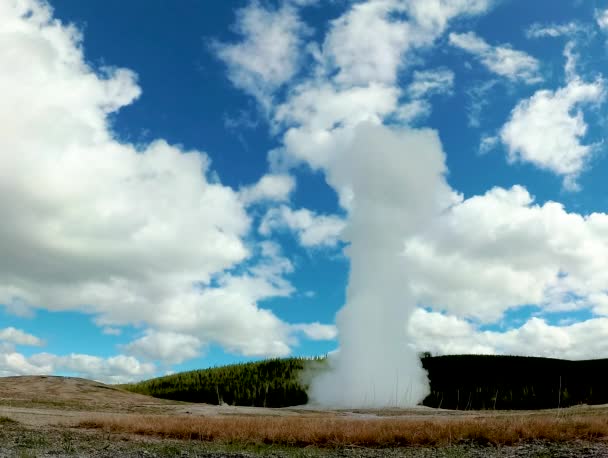 ガイザー オールド フェイスフルは アメリカ合衆国ワイオミング州のイエローストーン国立公園で噴火した — ストック動画