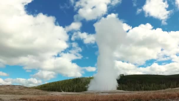 ガイザー オールド フェイスフルは アメリカ合衆国ワイオミング州のイエローストーン国立公園で噴火した — ストック動画