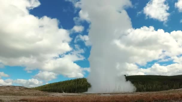 Geyser Old Faithful Éclate Dans Parc National Yellowstone Dans Wyoming — Video