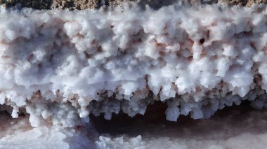 Kuyalnik haliçleri, Karadeniz. Tuz kristalleri tuz gölünün kıyısındaki taşları kaplar.