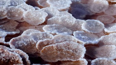 Kuyalnik haliçleri, Karadeniz. Tablo tuzu, alttaki yuvarlak gözleme şeklinde ve haliçlerin kıyısında. Tablo tuz kristalleri