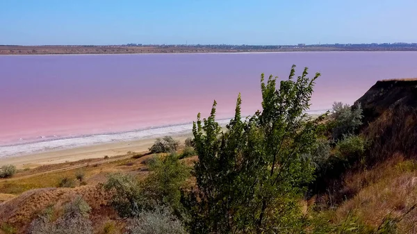 Kuyalnik estuary, Black Sea. Rose water in the estuary, salt water from Artemia and Dunaliella