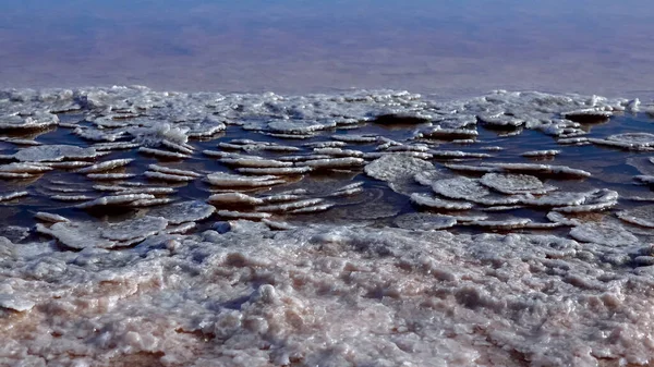 Estero Kuyalnik Mar Negro Sal Mesa Forma Panqueques Redondos Parte —  Fotos de Stock