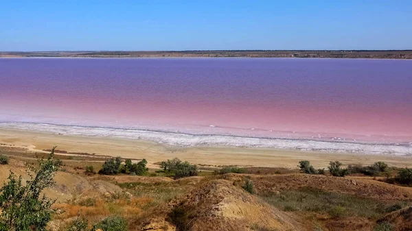 Kuyalnik Estuary Black Sea Rose Water Estuary Salt Water Artemia Stock Photo