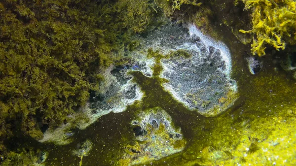 Funil Marinho Superfície Areia Mar Negro Ecologia Mar Poluição — Fotografia de Stock