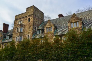 PRINCETON, NJ USA - NOVENBER 12, 2019: Holder Hall, pencere ve mimari unsuru. Princeton Üniversitesi, Princeton, New Jersey ABD