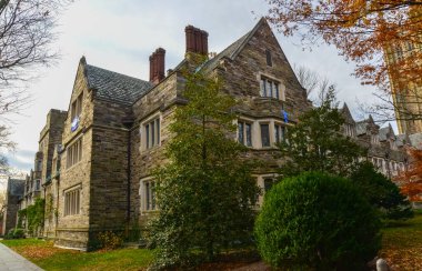 PRINCETON, NJ USA - NOVENBER 12, 2019: Holder Hall, pencere ve mimari unsuru. Princeton Üniversitesi, Princeton, New Jersey ABD