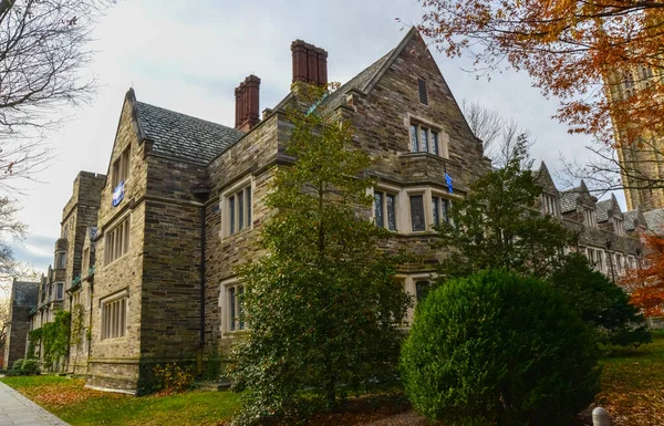 Princeton Usa Novembre 2019 Holder Hall Elemento Finestra Architettura Princeton — Foto Stock